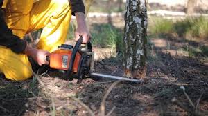 Best Commercial Tree Services  in Glasgow, OR