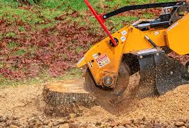 Best Tree Maintenance Programs  in Glasgow, OR