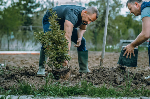  Glasgow, OR Tree Services Pros
