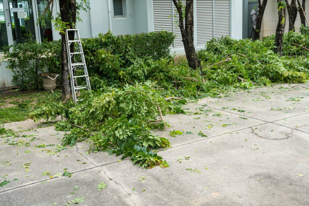 Best Lawn Watering Services  in Glasgow, OR