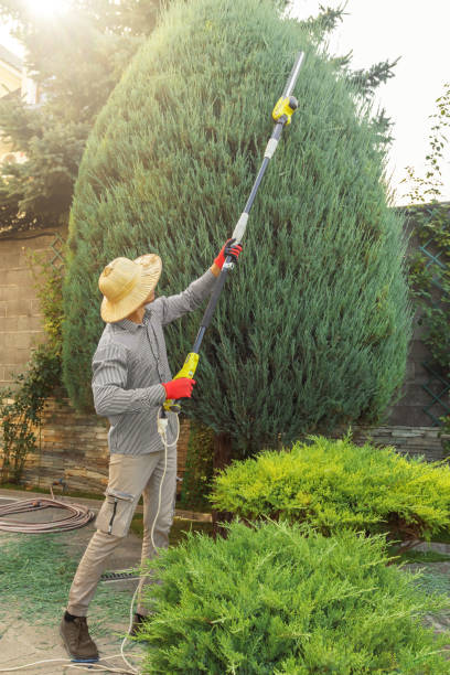 Best Aeration Services  in Glasgow, OR